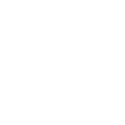 FASTER PAYMENTS ICON