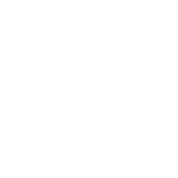 HOLIDAY ICON