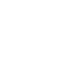 NO ADMIN ICON